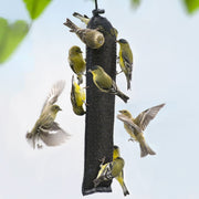 Jumbo Thistle Sack Finch Feeder Black