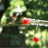 Whimsy Tweeter Totter Hummingbird Feeder