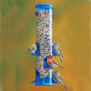 Jumbo Seed Songbird Feeder
