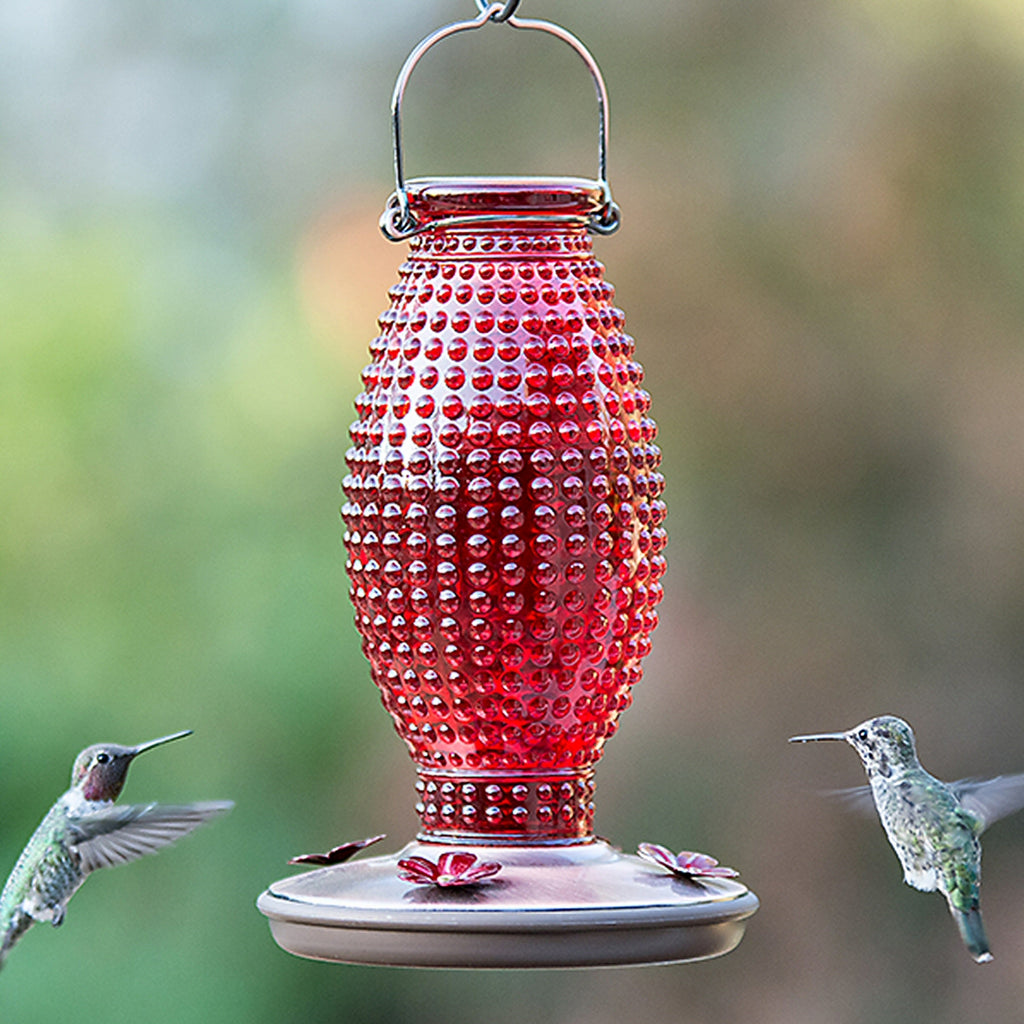 Red Hobnail Vintage Hummingbird Feeder