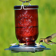 Mason Jar Red Hummingbird Feeder - Momma's Home Store
