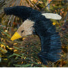 Eagle Bristle Brush Ornament