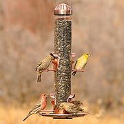 Copper 2 in 1 Wild Bird Feeder