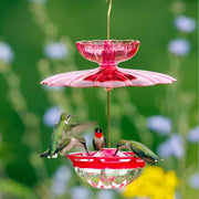 HummBlossom Bird Feeder Accessory Kit