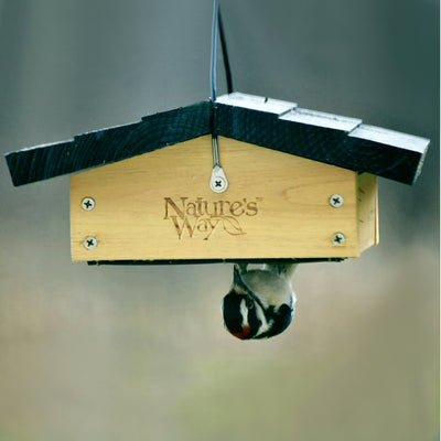 Upside-down Bamboo Suet Bird Feeder