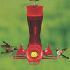 Pinch Waist Red Hummingbird Feeder