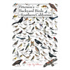 Petersons Backyard Birds of Southern California Poster