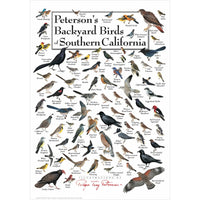 Petersons Backyard Birds of Southern California Poster