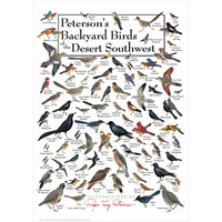 Petersons Backyard Birds of the Desert Southwest Poster