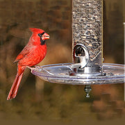 Fancy Swirl Bird Feeder Seed Tray - Momma's Home Store