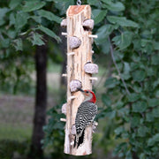 Cedar Suet Log Feeder w/12 Perches