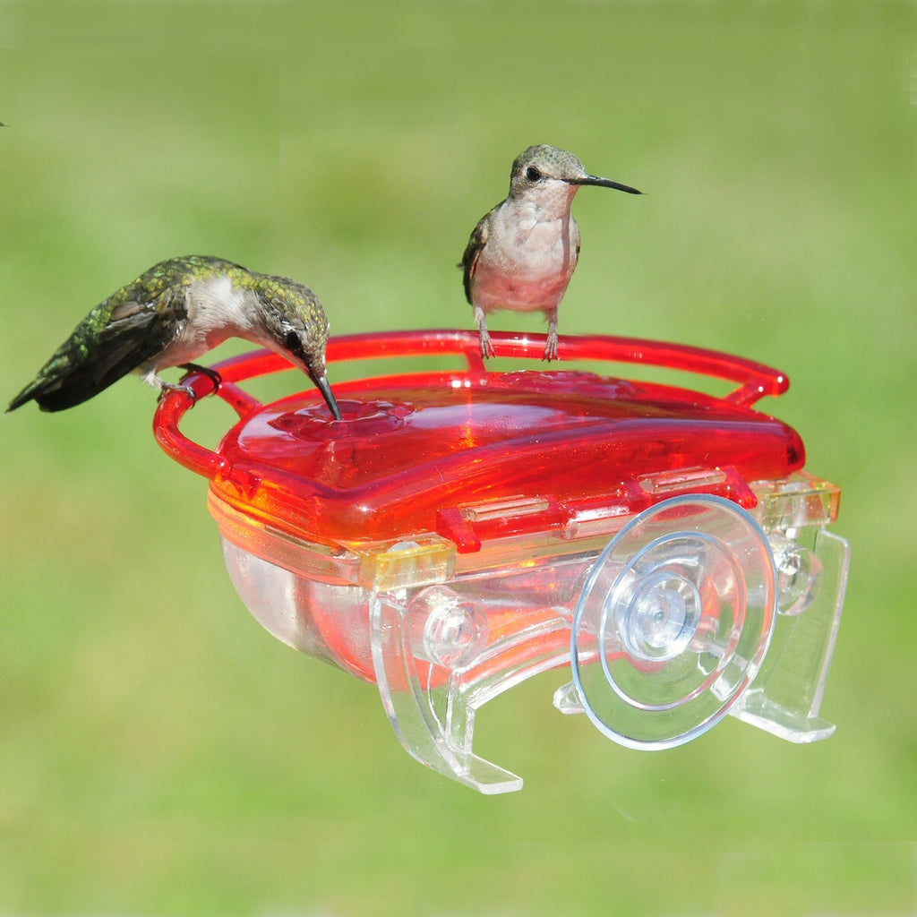 The Gem Window Hummingbird Feeder