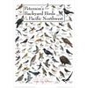 Petersons Backyard Birds of the Pacific Northwest Poster