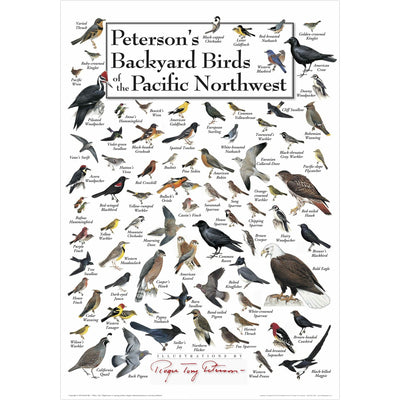 Petersons Backyard Birds of the Pacific Northwest Poster