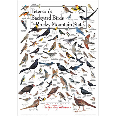 Petersons Backyard Birds of the Rocky Mountain States Poster
