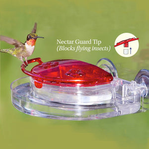 The Gem Hummingbird Feeder Anti Insect Kit