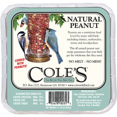 Natural Peanut No Melt Suet 11.75 oz - 3 pack