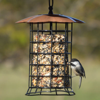 Suet Log Bird Feeder w/Copper Roof