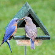 Chalet Tray Cedar Bird Feeder w/Stake