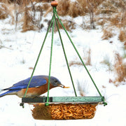 Hanging Mealworm Dish Bird Feeder