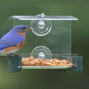 Mini Window Bird Feeder w/Perches