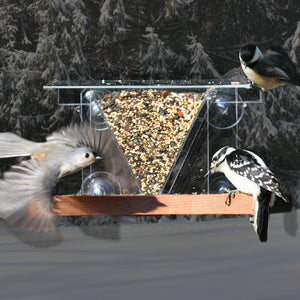 Hopper Window Bird Feeder w/Perch