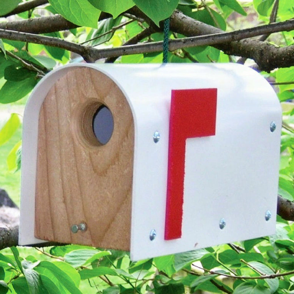 Classic White Mailbox Birdhouse
