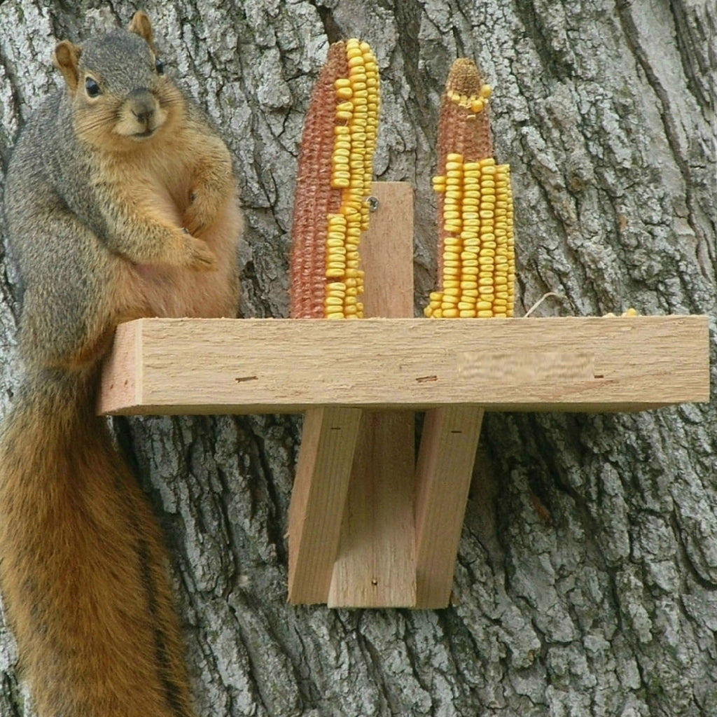 Double Corn Cedar Squirrel Feeder