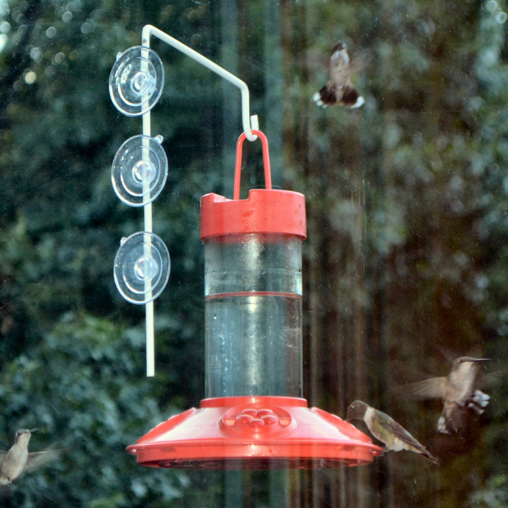 Dr JBs Hummingbird Feeder w/Window Hanger