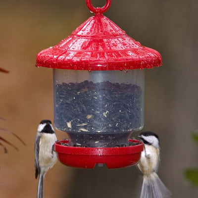 Clingers Only Bird Feeder Red