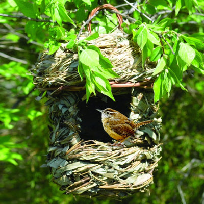 Acorn Roosting Pocket Bird House