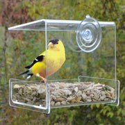 Clear View Mini Window Feeder