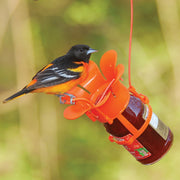Orange Blossom Oriole Bird Feeder - Momma's Home Store