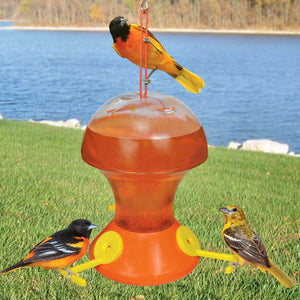 Oriole Nectar Bird Feeder 52 oz - Momma's Home Store
