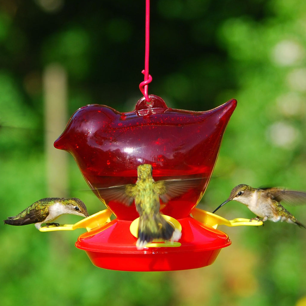 Red Bird Hummingbird Feeder - Momma's Home Store
