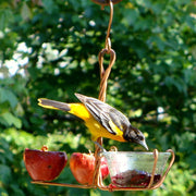 Copper Double Fruit Spiral & Jelly Bird Feeder