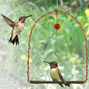 Copper Arch Decorative Bird Swing