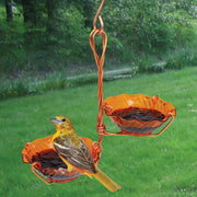 Copper Oriole Double Jelly Bird Feeder