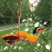 Copper Double Fruit Spiral & Jelly Oriole Feeder