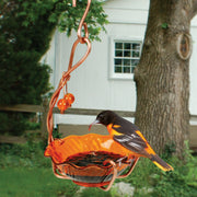 Copper Oriole Jelly Bird Feeder