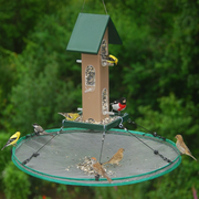 Seed Hoop Bird Feeder Seed Tray 30 inch