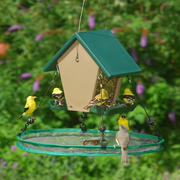 Seed Hoop Bird Feeder Seed Tray 16 inch