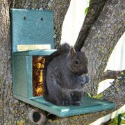 Recycled Lunch Box Squirrel Feeder