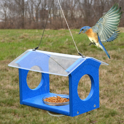 Bluebird Canteen Recycled Bird Feeder