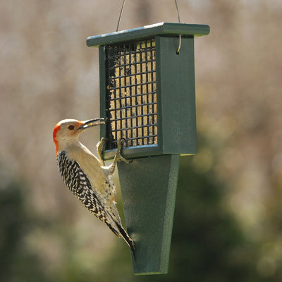 Suet Recycled Bird Feeder w/Tail Prop