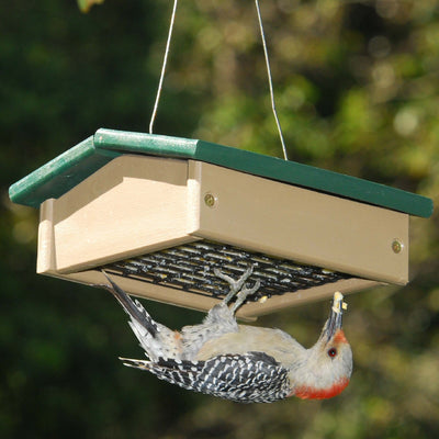 Upside Down Recycled Suet Bird Feeder