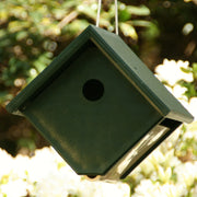 Classic Wren Birdhouse Hunter/Ivory