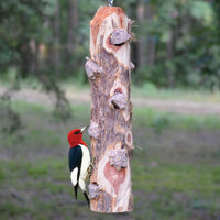Cedar Suet Log Bird Feeder 6 Plug