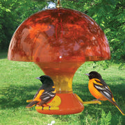 Oriole Magnet Bird Feeder Baffle