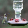 Antique Clear Glass Hummingbird Feeder